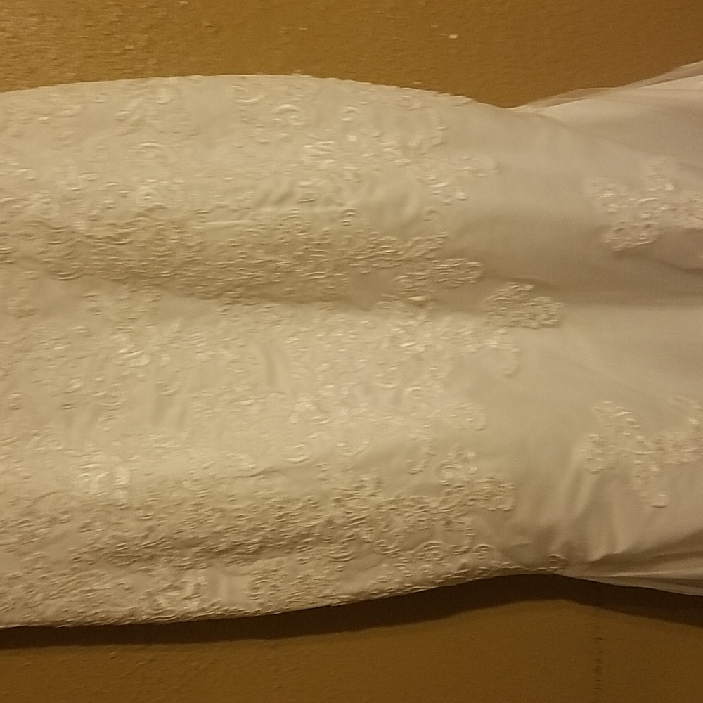 Wedding Dress and veil - Picture 3 of 10